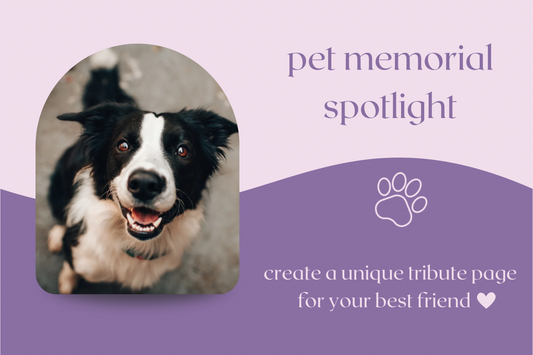 Pet Memorial Spotlight