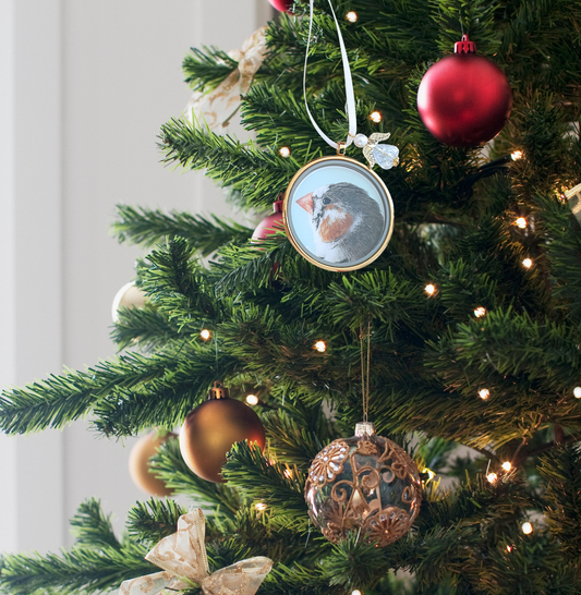 Pet Memorial Photo Locket Ornament